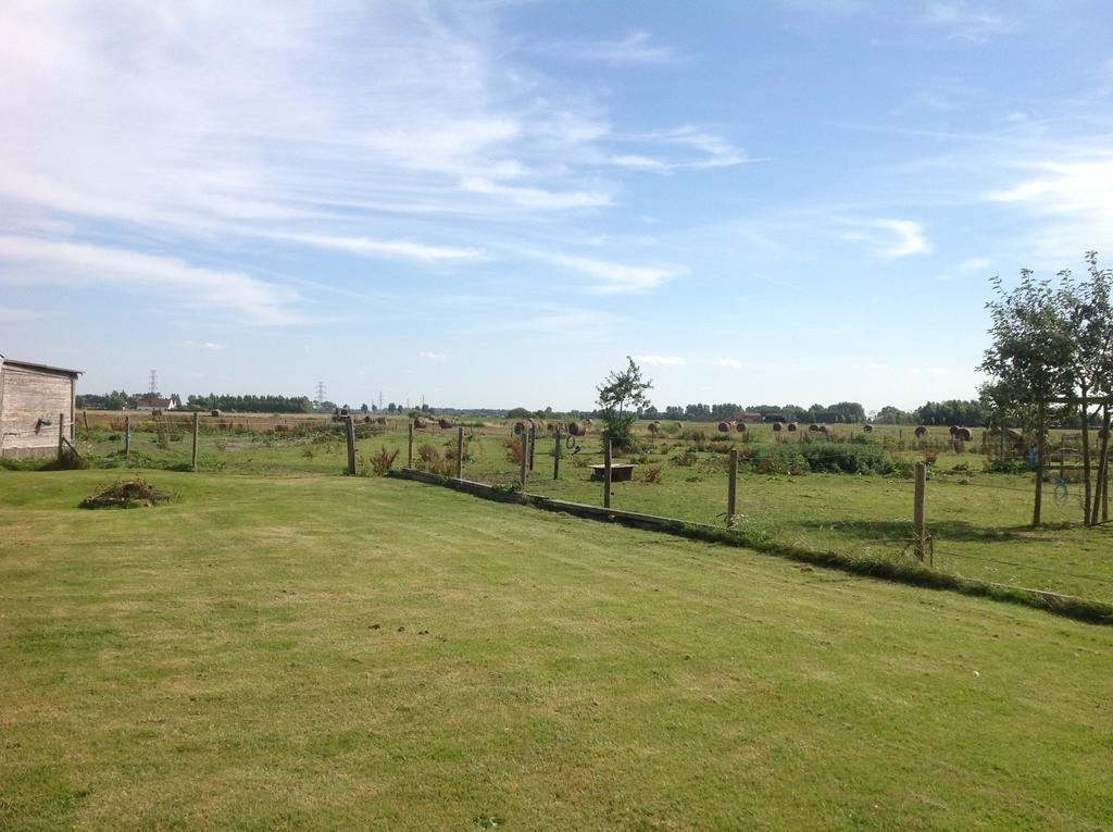 Kokkelikoo Bed & Breakfast Blankenberge Luaran gambar